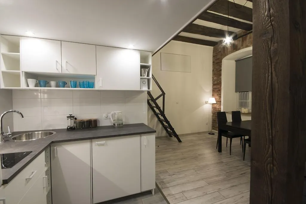 Loft Apartment 크라쿠프